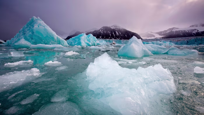 Archtic Ocean